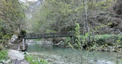 Ovo je jedna od dve najčistije reke u Srbiji: Veliki Rzav izvire podno Mučnja i dugačak je 62 kilometra