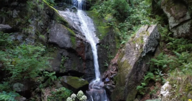 Letovanje uz slapove, šume i hladnu vodu je SKRIVENO BLAGO SRBIJE: Jeste li znali da Stara planina krije neke od NAJLEPŠIH VODOPADA Balkana?